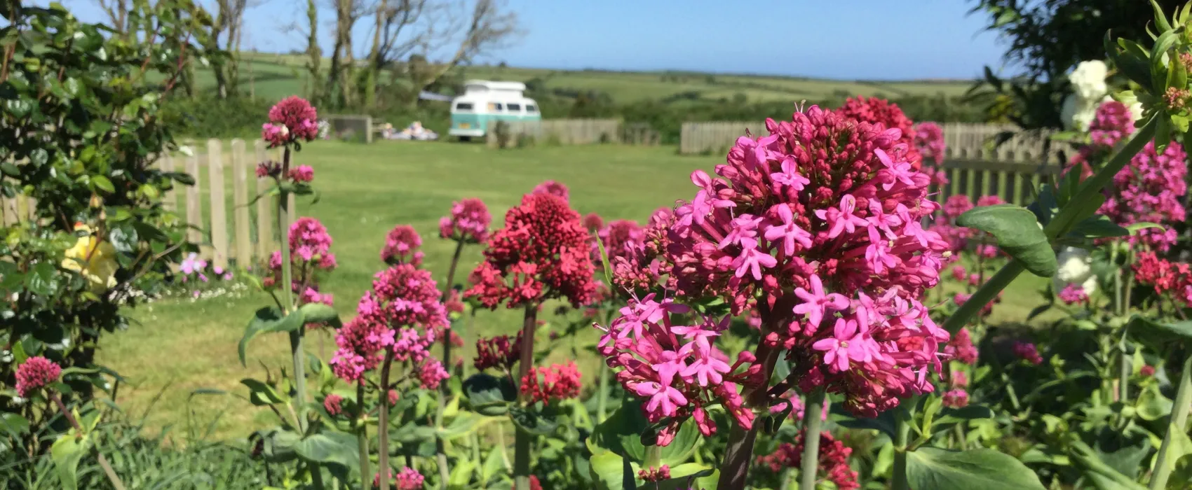 Parkland Touring, Camping & Glamping Site