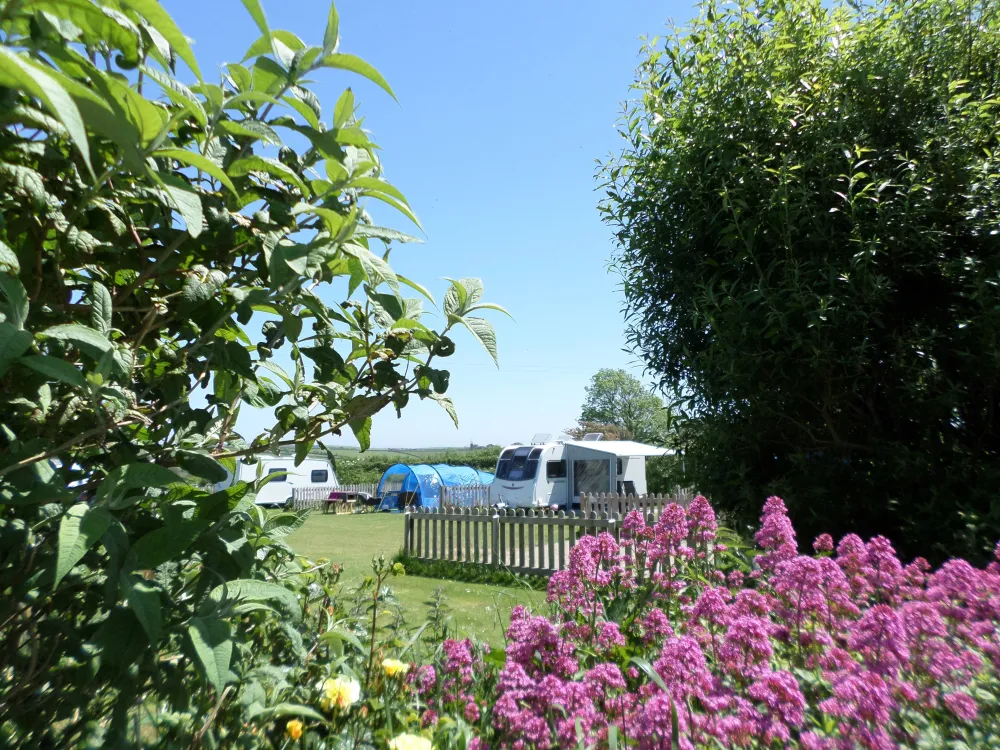 Parkland Touring, Camping & Glamping Site