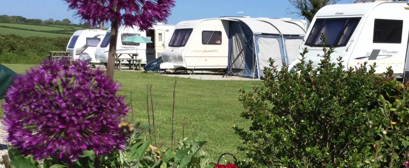 Parkland Touring, Camping & Glamping Site