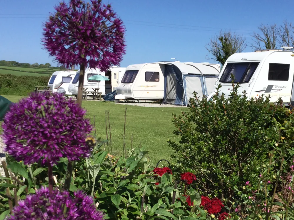 Parkland Touring, Camping & Glamping Site