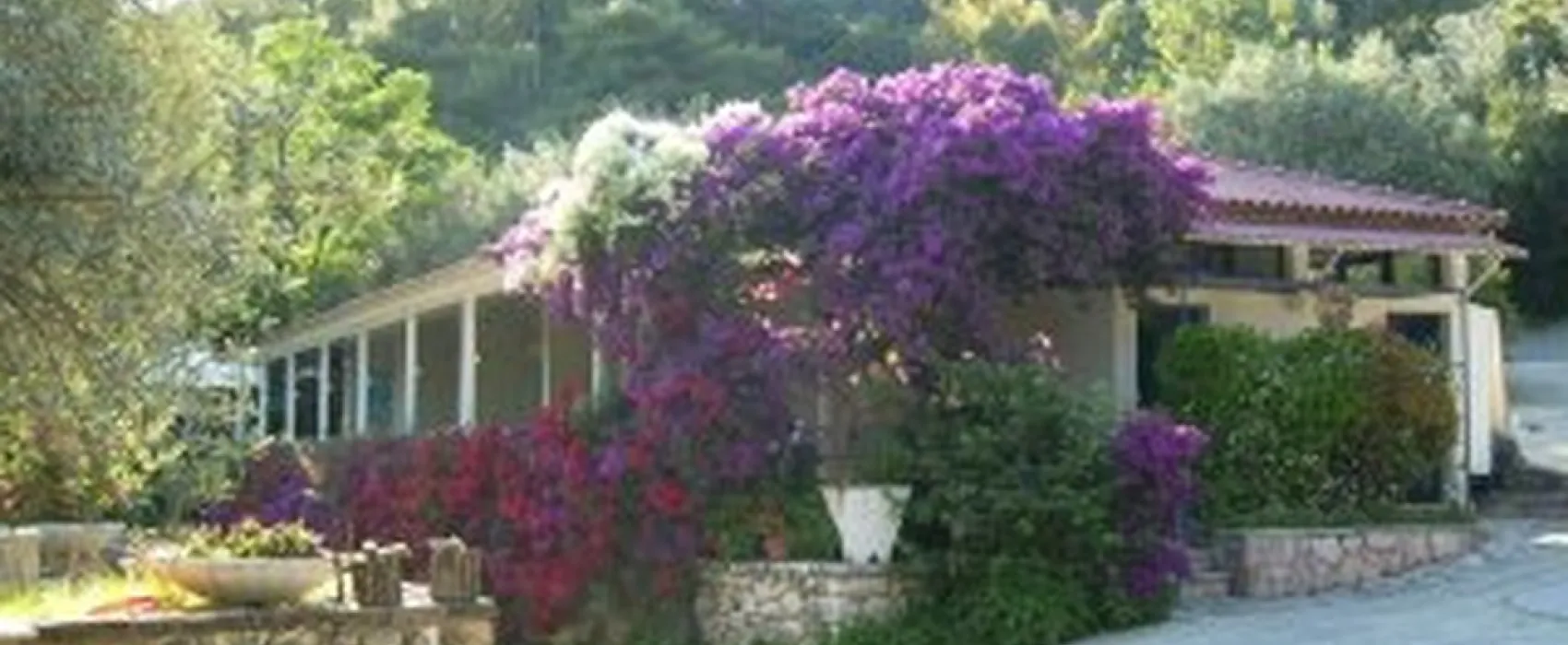 Campsite Kalami Beach