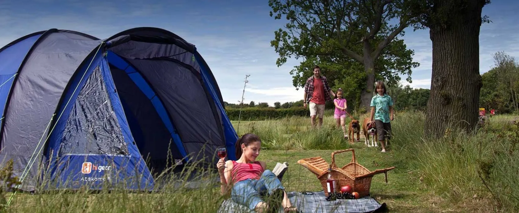 Waldegraves Holiday Park