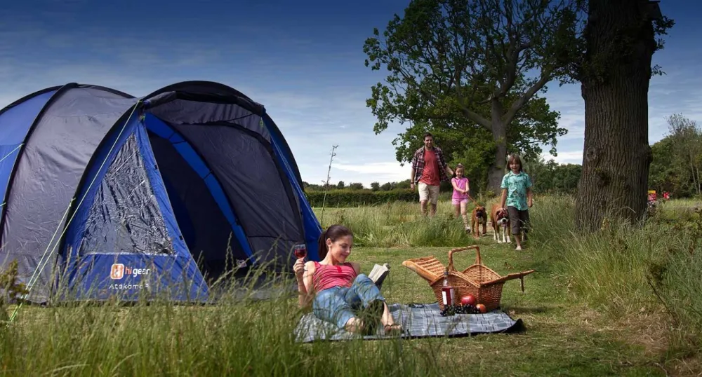 Waldegraves Holiday Park