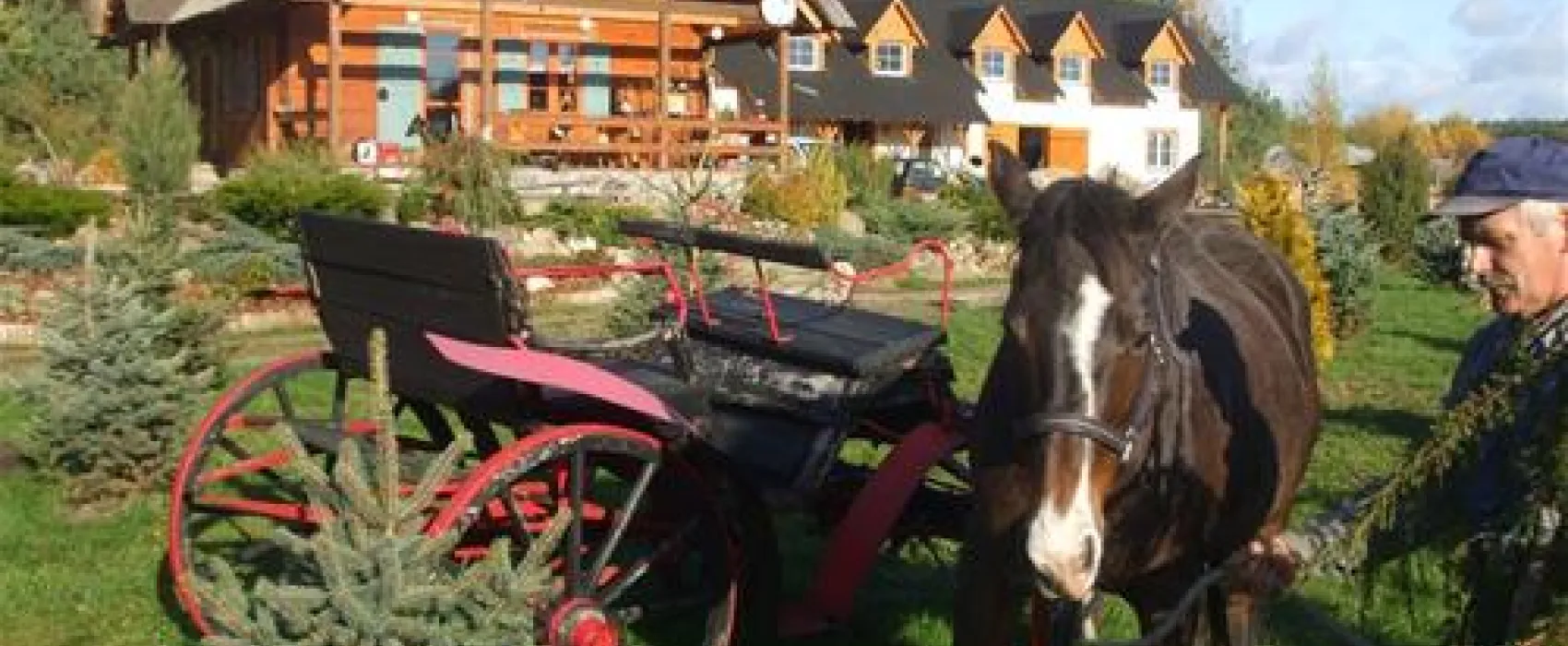 P.H.U.Xolo-Kemping Koziolkowo