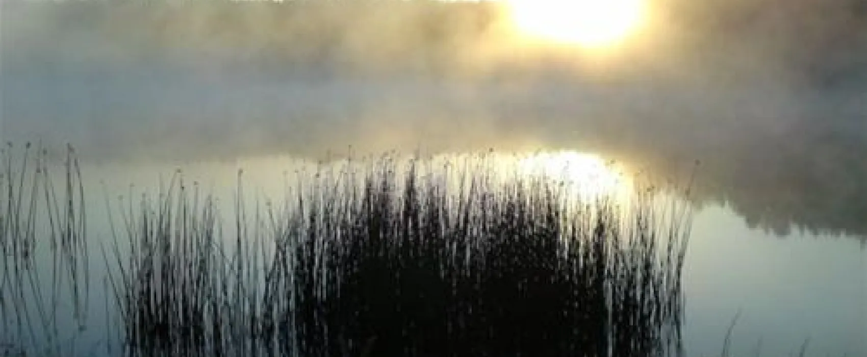 P.H.U.Xolo-Kemping Koziolkowo