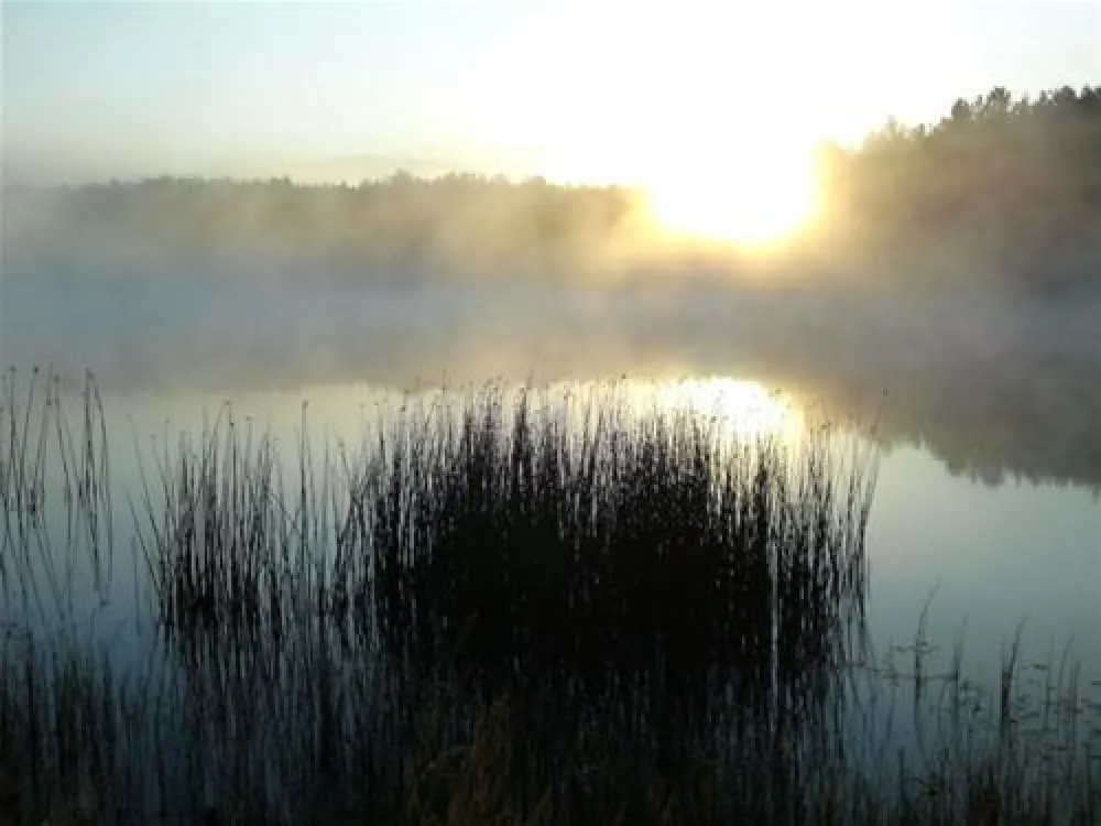 P.H.U.Xolo-Kemping Koziolkowo