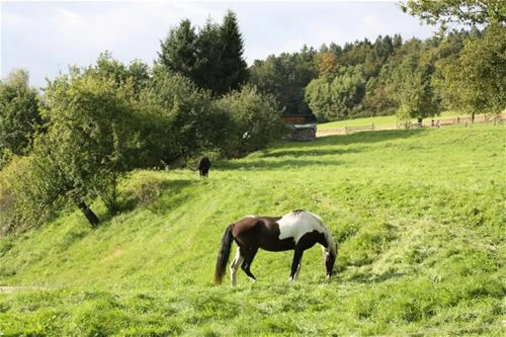 Campingplatz Wallenstein