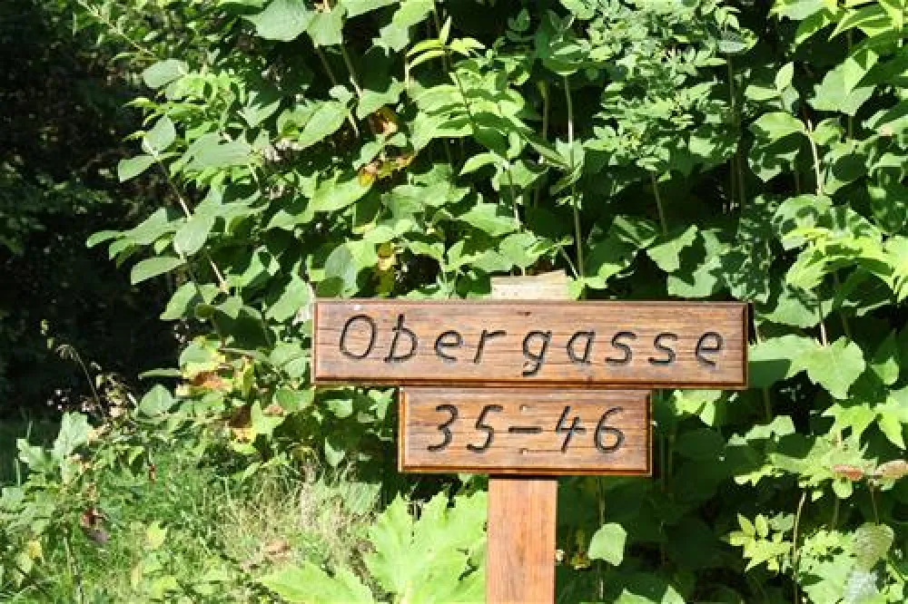 Campingplatz Wallenstein