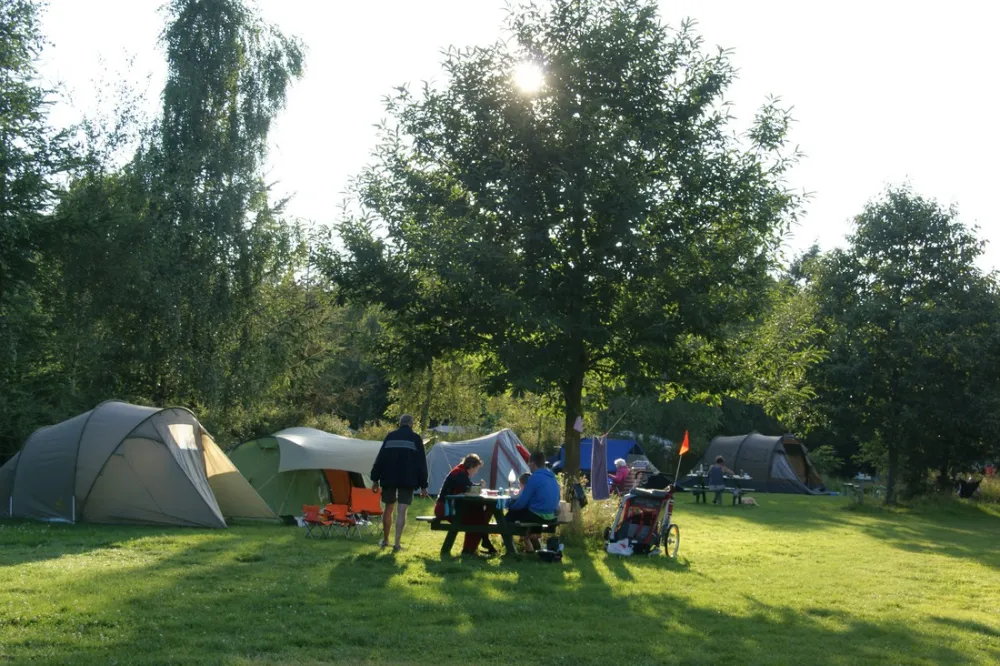 Natuurkampeerterrein 't Scharvelt