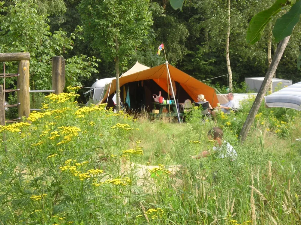 Natuurkampeerterrein 't Scharvelt
