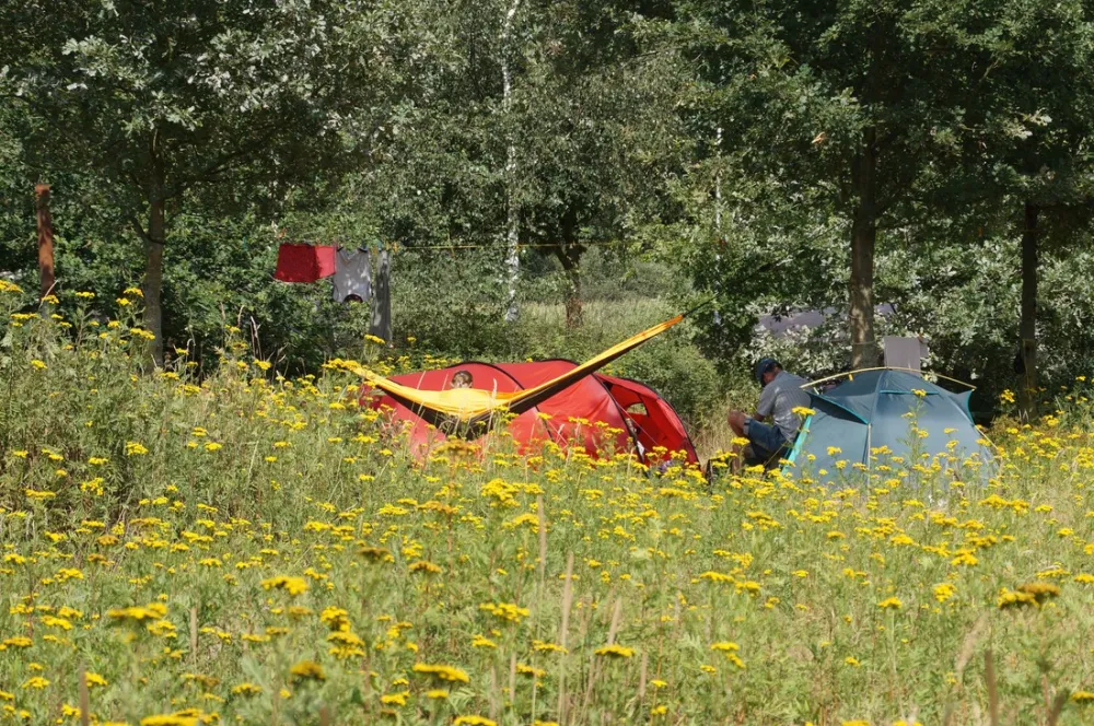 Natuurkampeerterrein 't Scharvelt