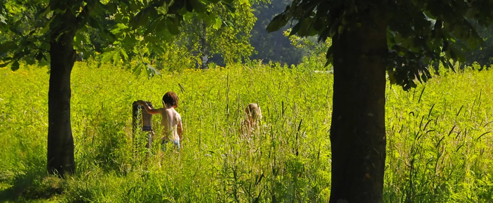 Natuurkampeerterrein 't Scharvelt