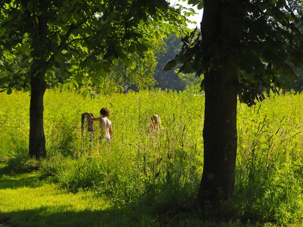 Natuurkampeerterrein 't Scharvelt
