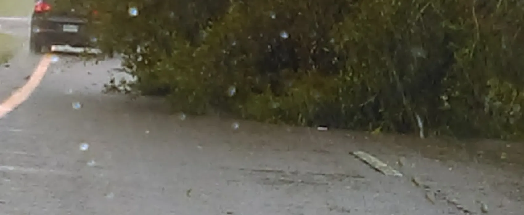 St. Johns Campground