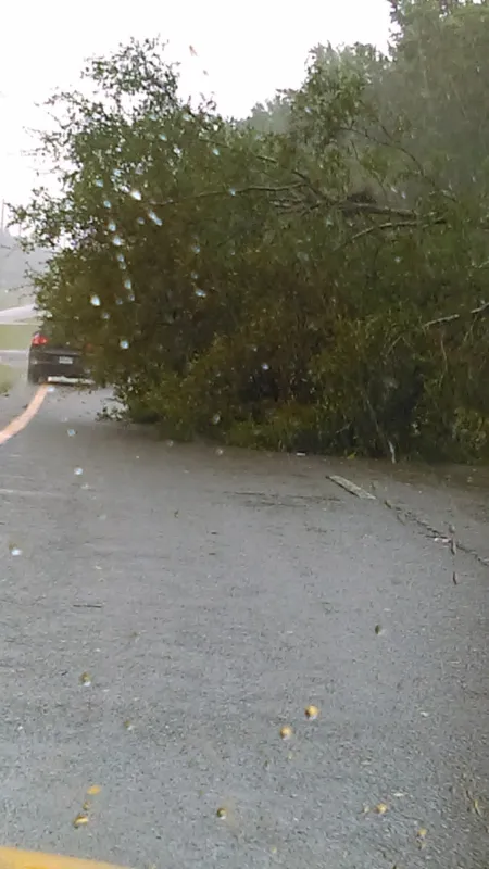 St. Johns Campground