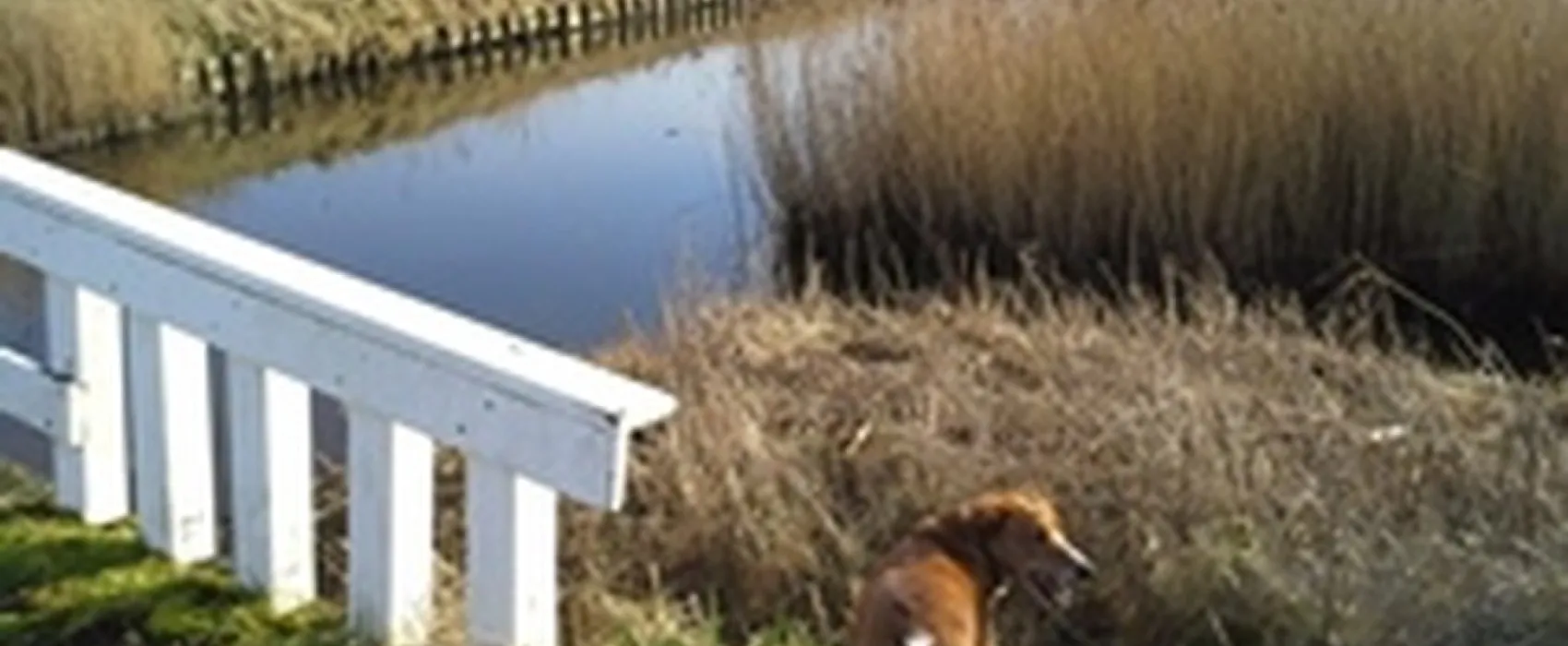 Minicamping 't Hommeltje