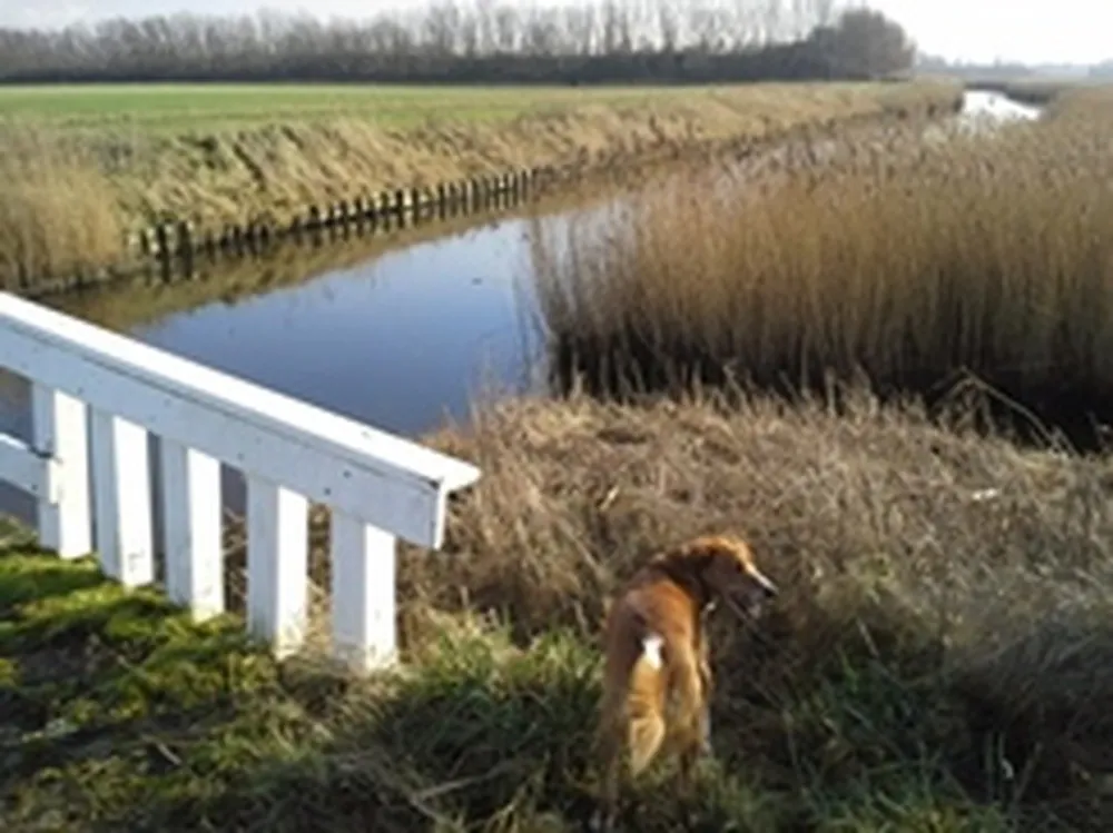 Minicamping 't Hommeltje