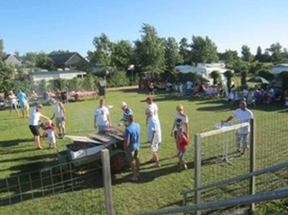 Minicamping 't Hommeltje