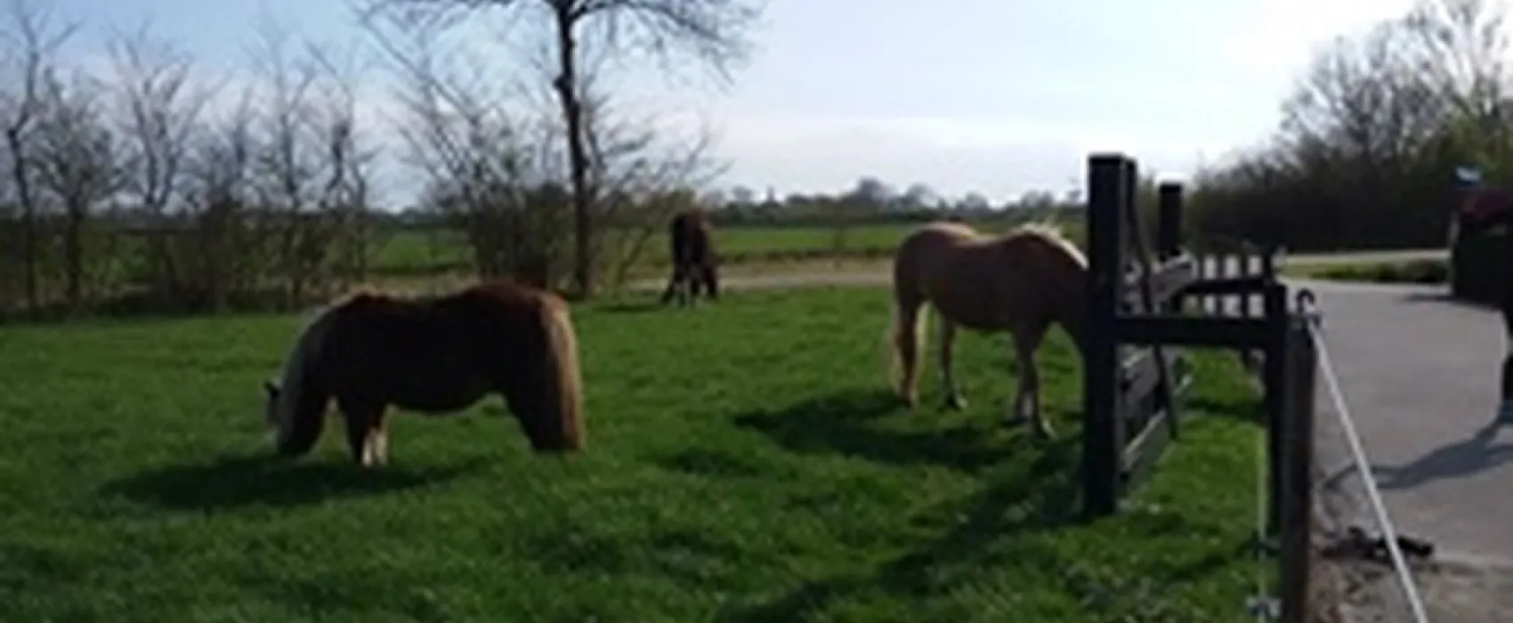 Minicamping 't Hommeltje