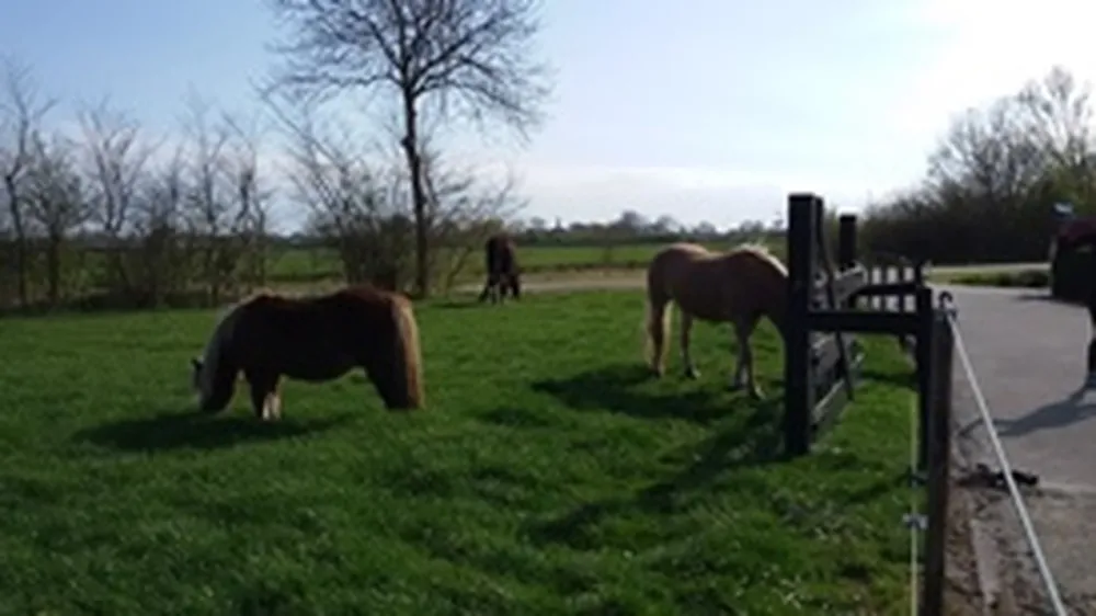 Minicamping 't Hommeltje