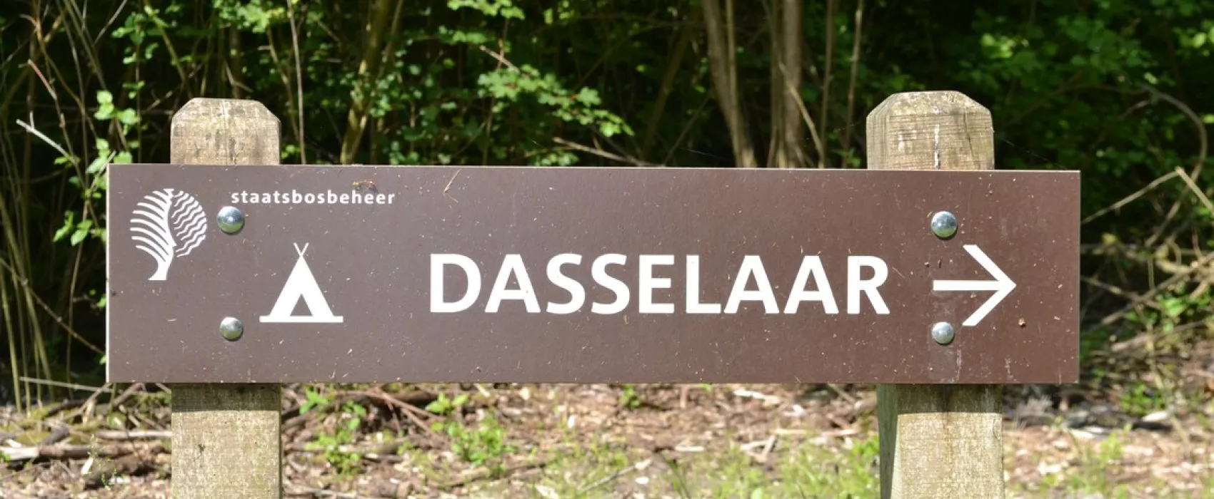 Natuurkampeerterrein De Dasselaar