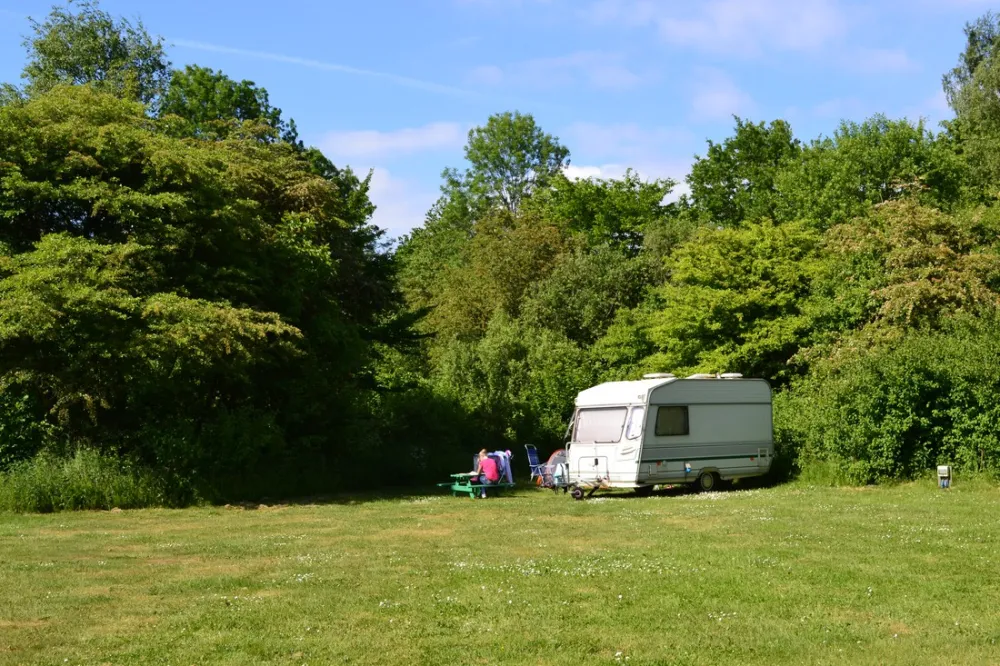 Natuurkampeerterrein De Dasselaar