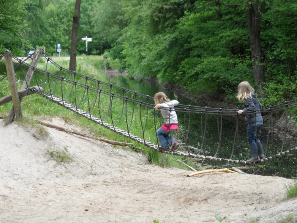 Natuurkampeerterrein De Dasselaar