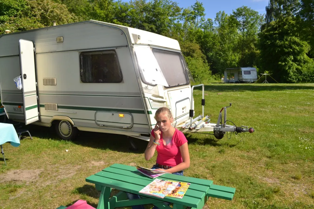 Natuurkampeerterrein De Dasselaar
