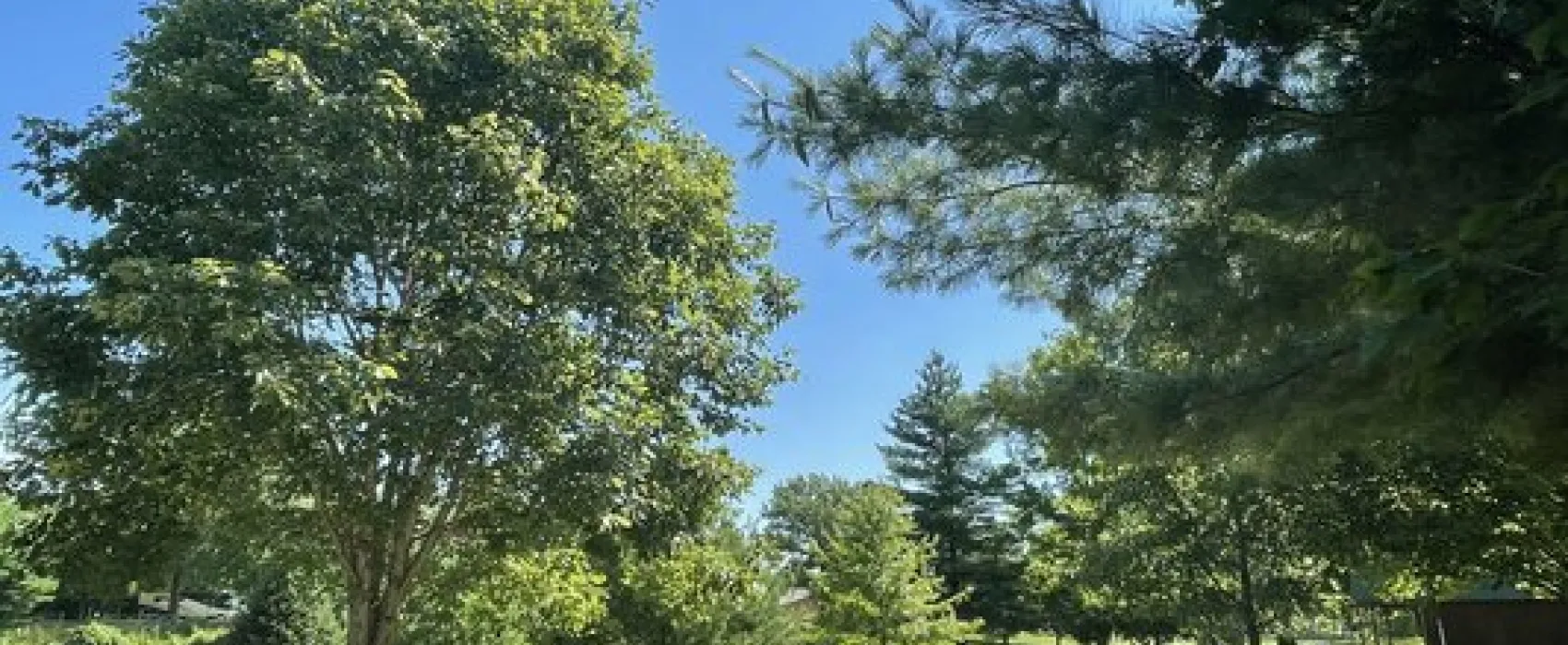 Crazy Horse Campground, LLC