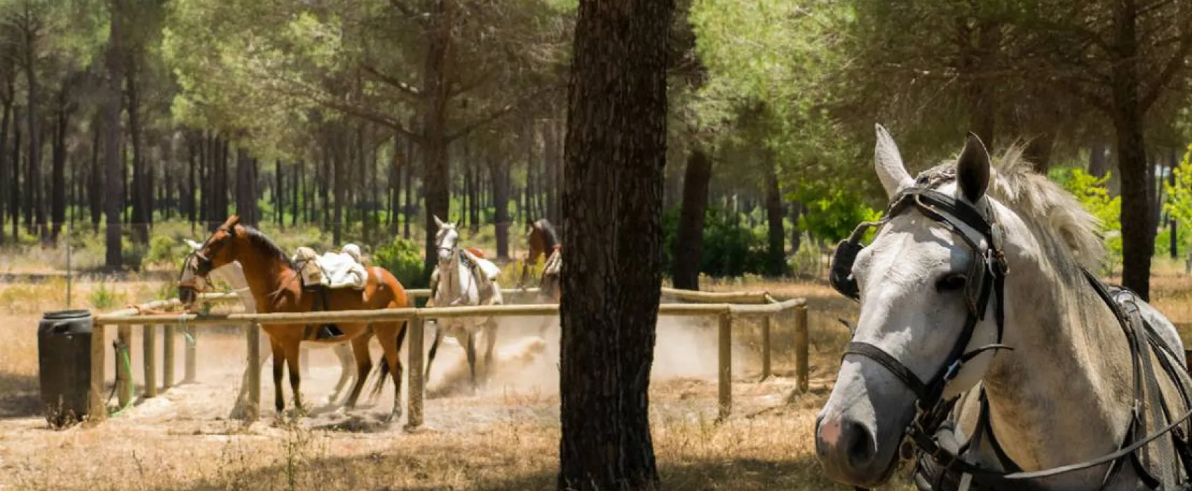 Camping Village Doñarrayan Park