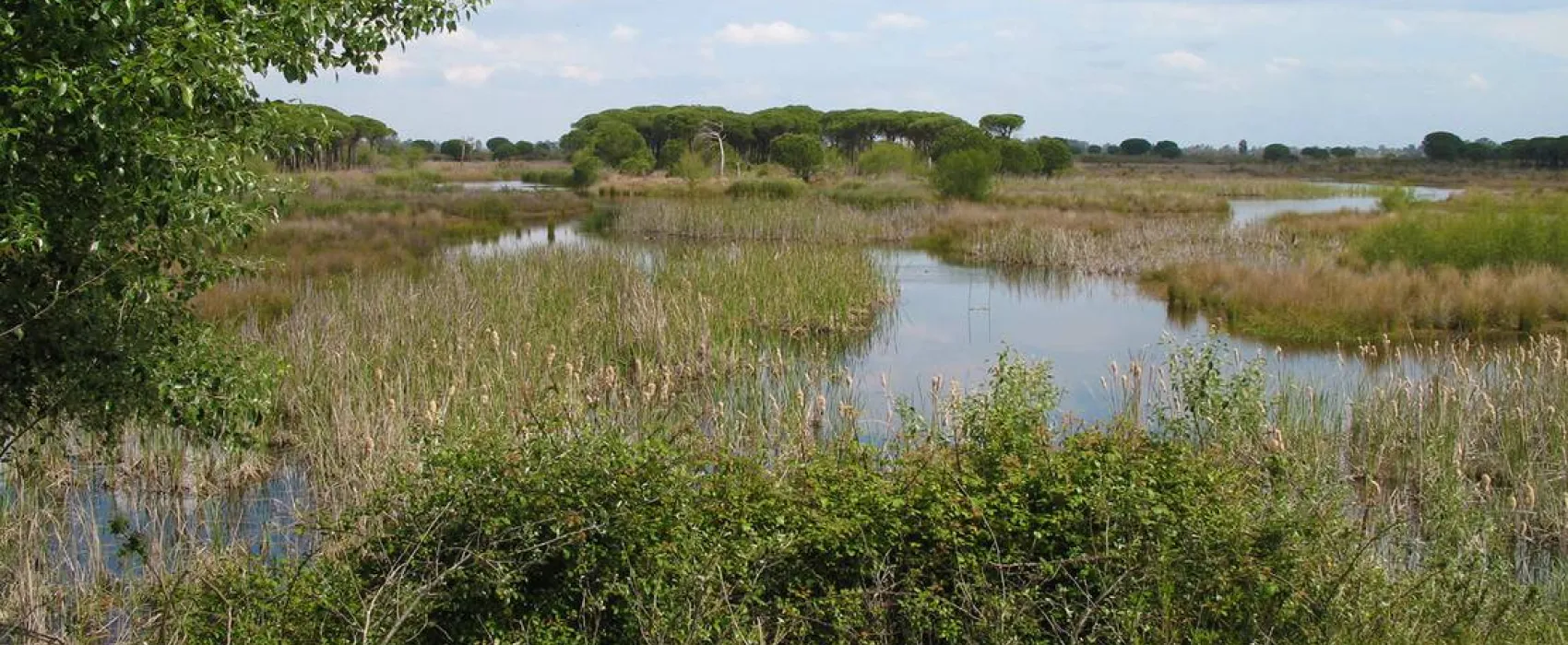 Camping Village Doñarrayan Park