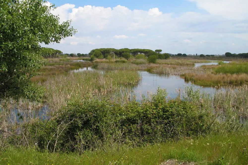 Camping Village Doñarrayan Park