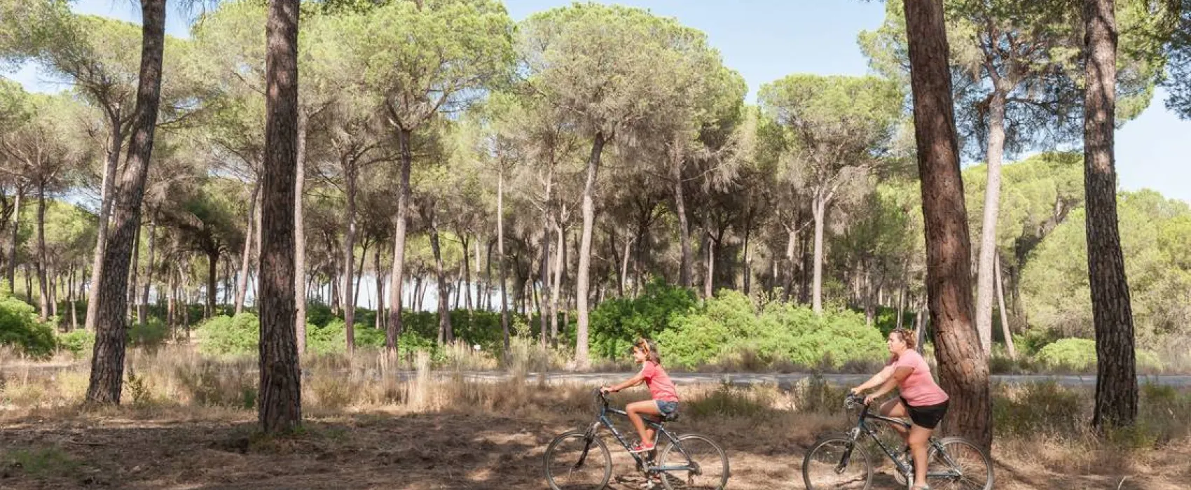 Camping Village Doñarrayan Park