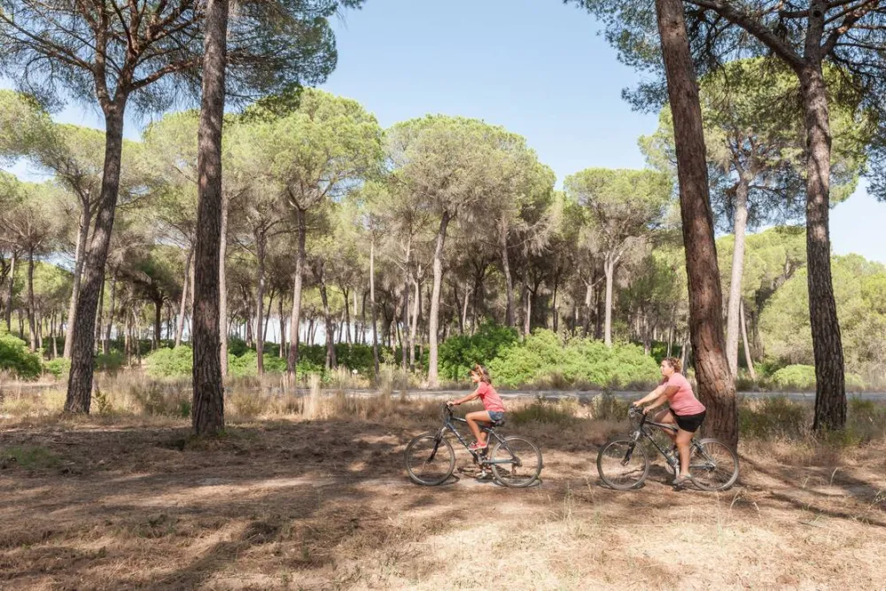 Camping Village Doñarrayan Park