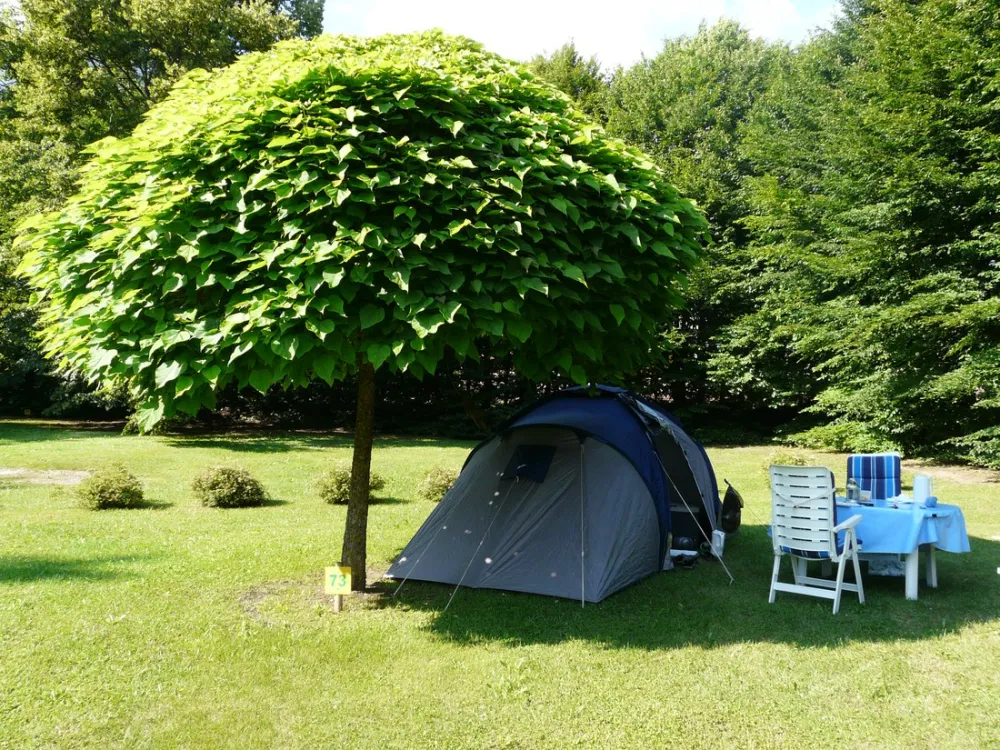 Municipal Des Thezieres