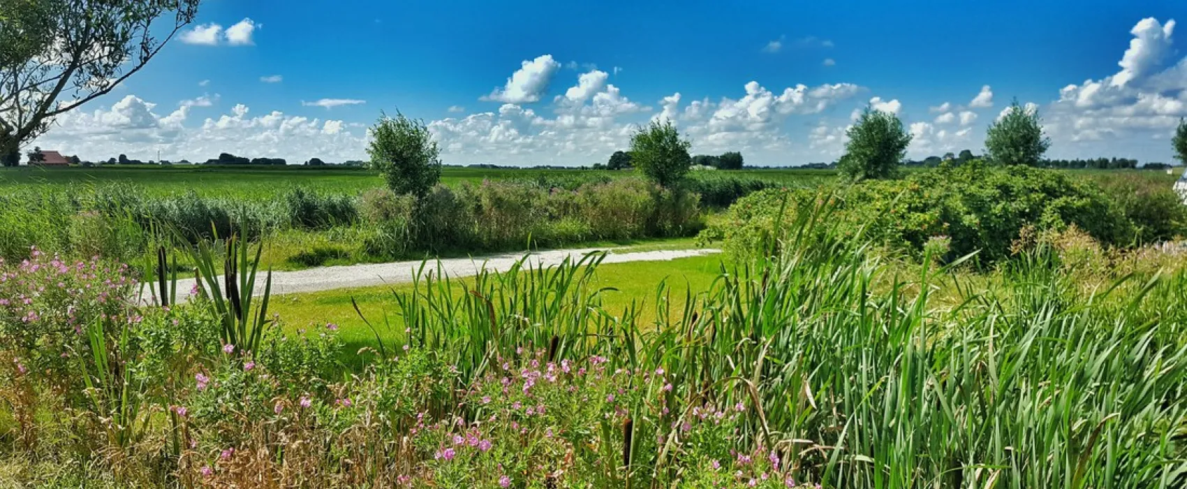 Boerencamping Ny Herema