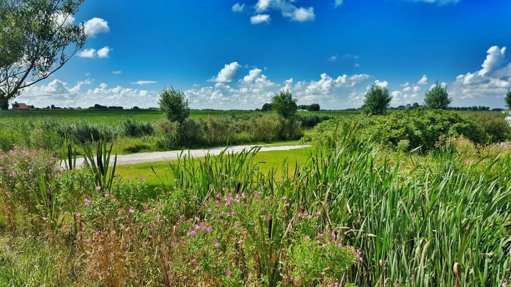 Boerencamping Ny Herema