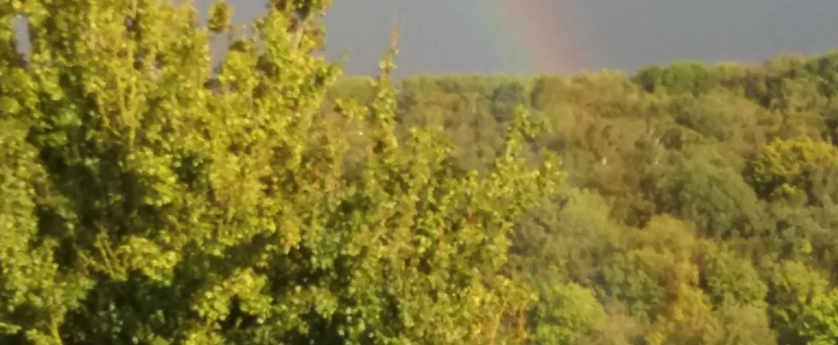 Gulperberg Panorama (Glamping)
