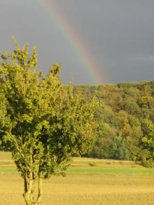 Gulperberg Panorama (Glamping)