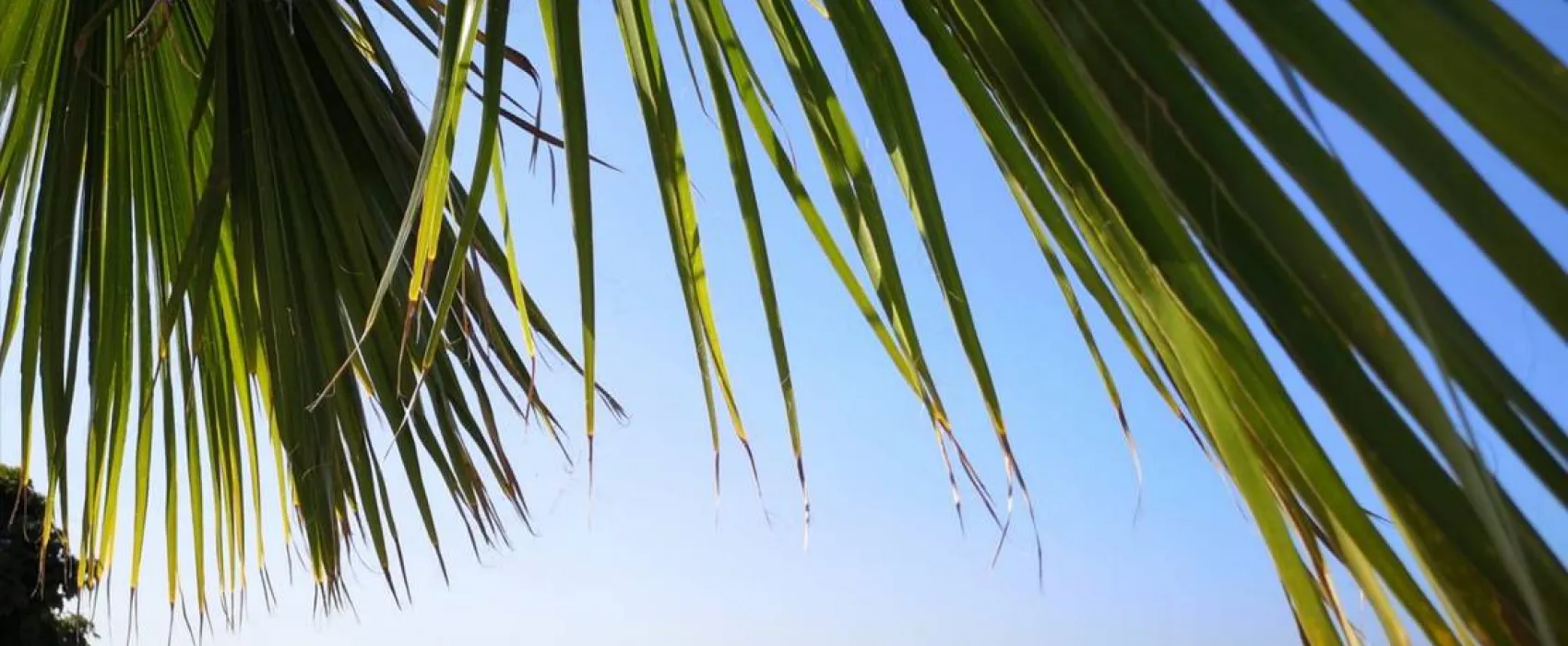 Barracuda Beach Camping am See