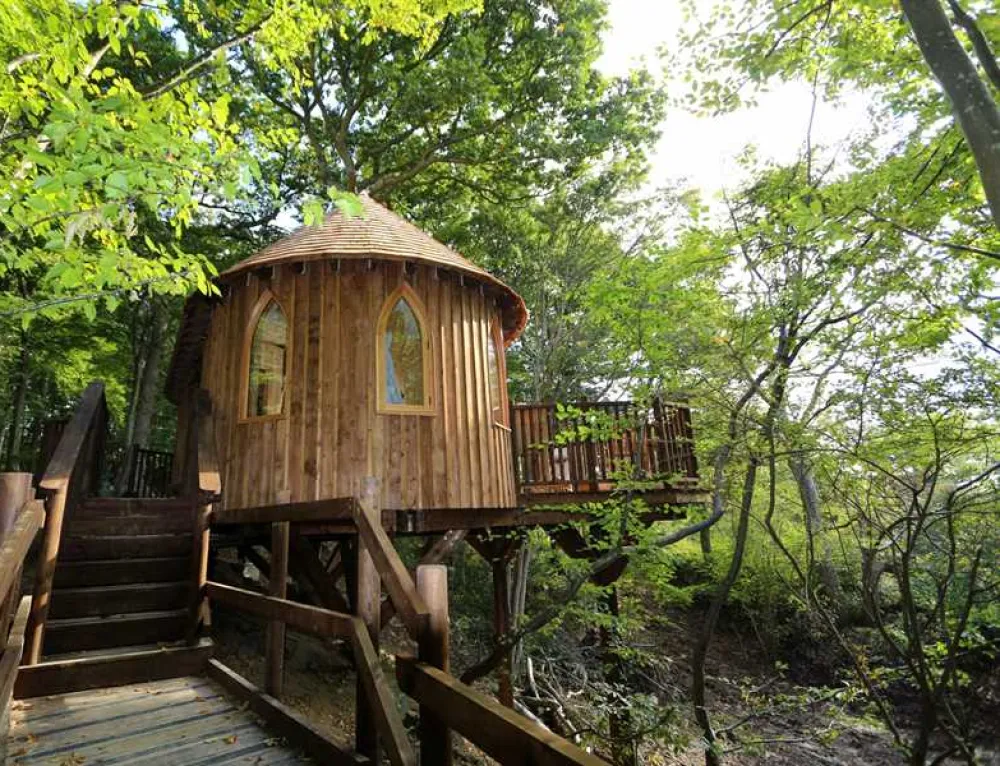 Hoots Treehouse