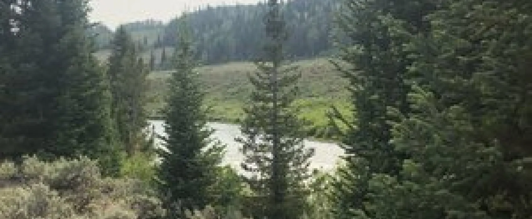 Whiskey Grove Campground