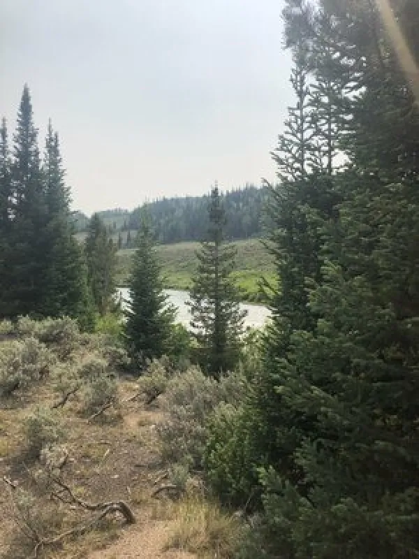 Whiskey Grove Campground