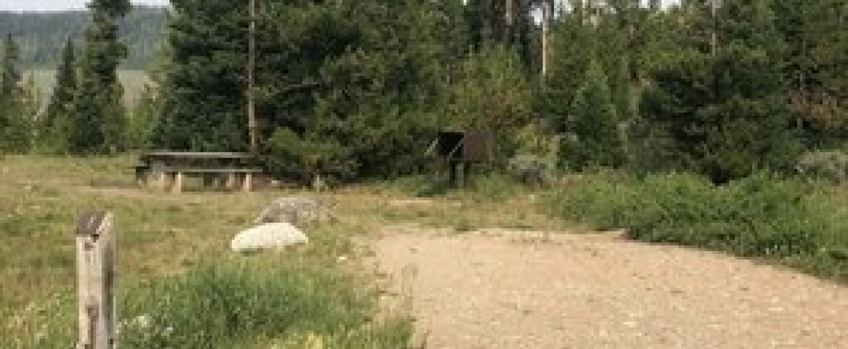 Whiskey Grove Campground