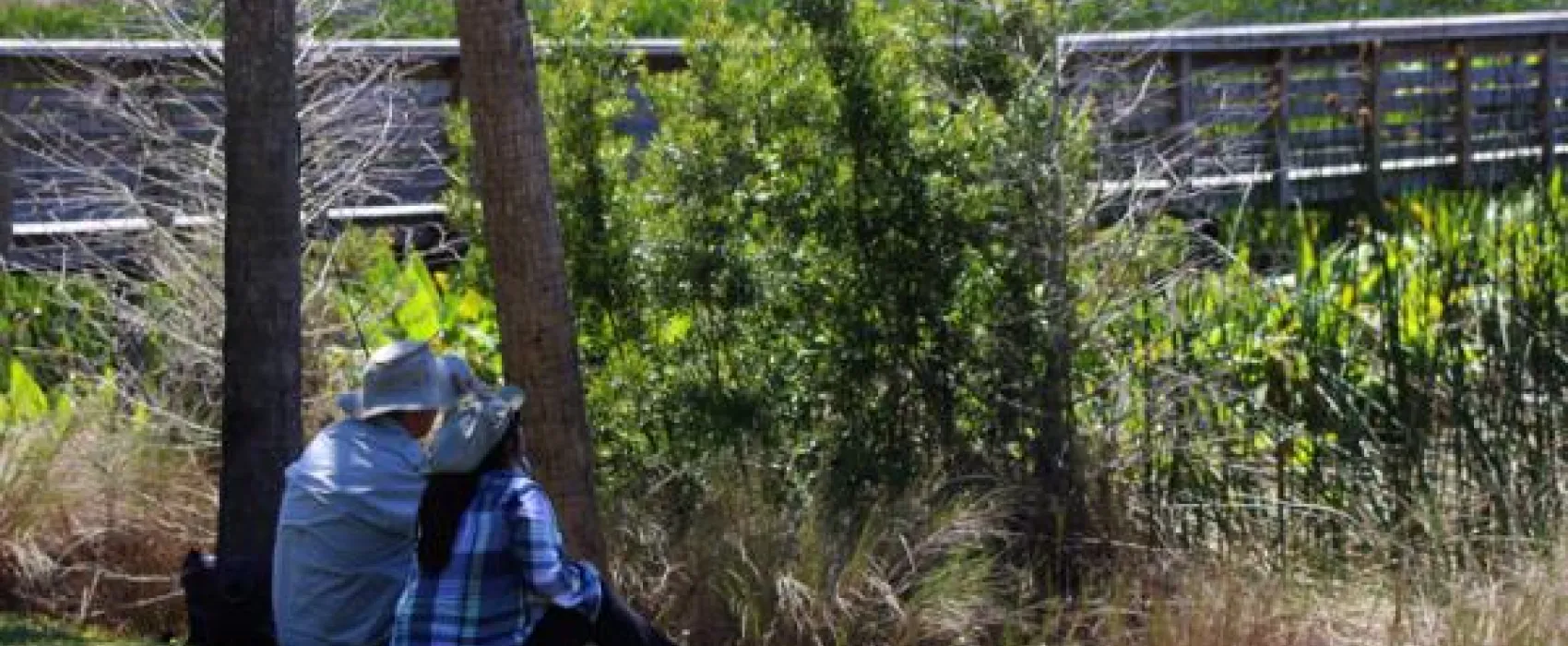 Phipps Park & Campground