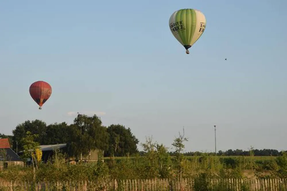 Mini-Camping Petit013