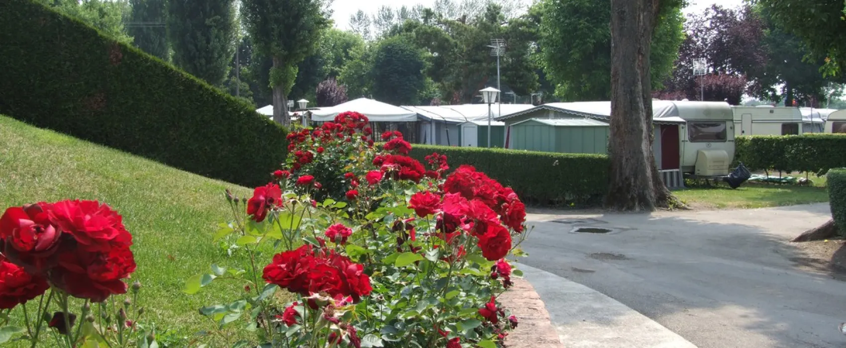 Camping la ferme des Tuileries