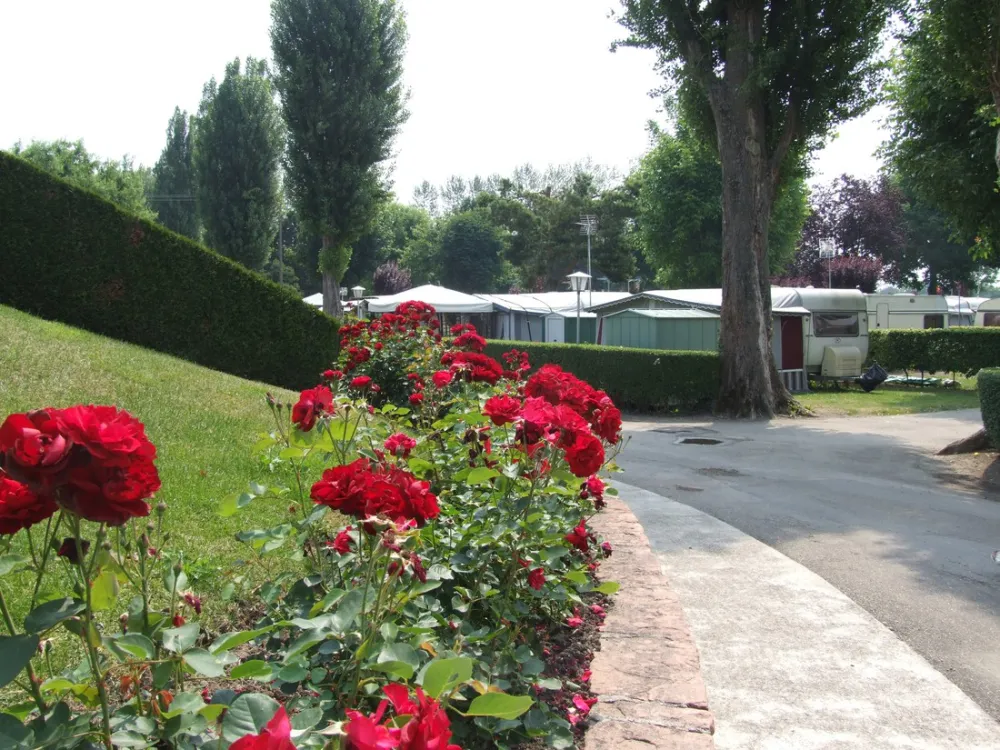 Camping la ferme des Tuileries