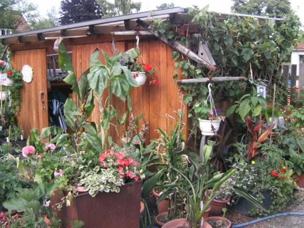 Camping am Naturerlebnisbad