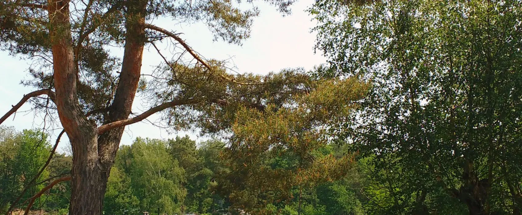 Camping De Bloksberg